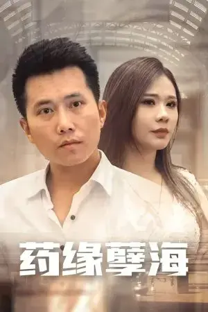 Báo Thù Của Thần Y (Chàng Rể Thầy Thuốc)