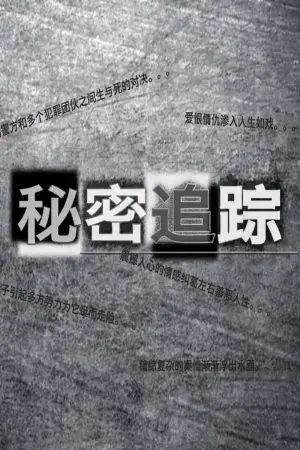 Theo Dấu Bí Mật